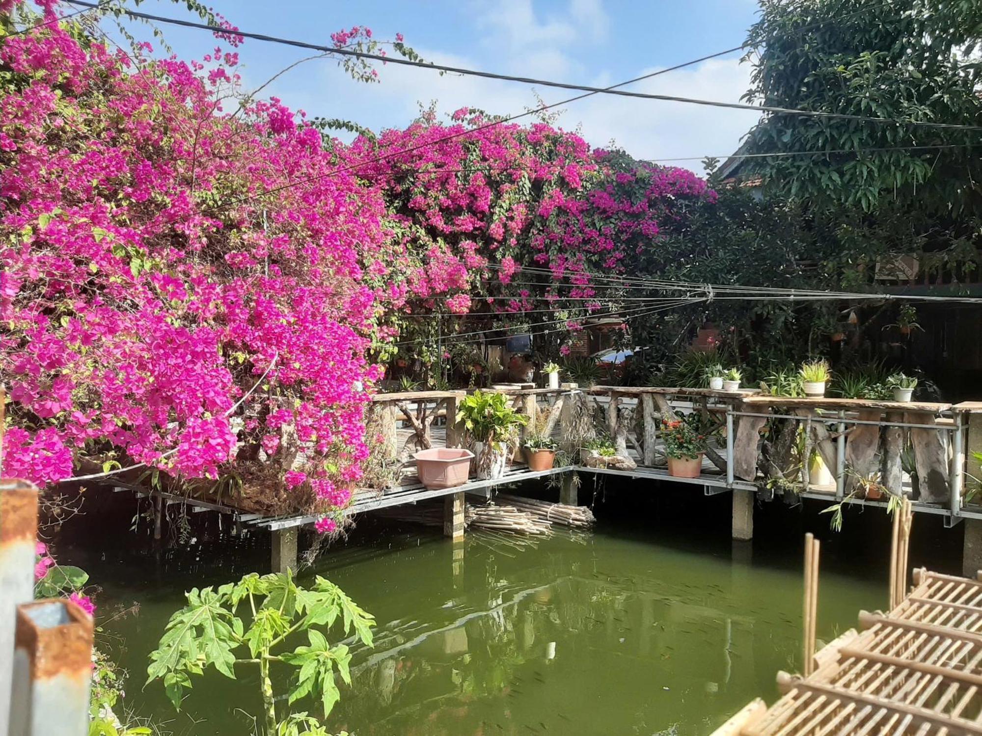 Minh Ngoc Homestay Dien Bien Phu Ban Him Lom ภายนอก รูปภาพ