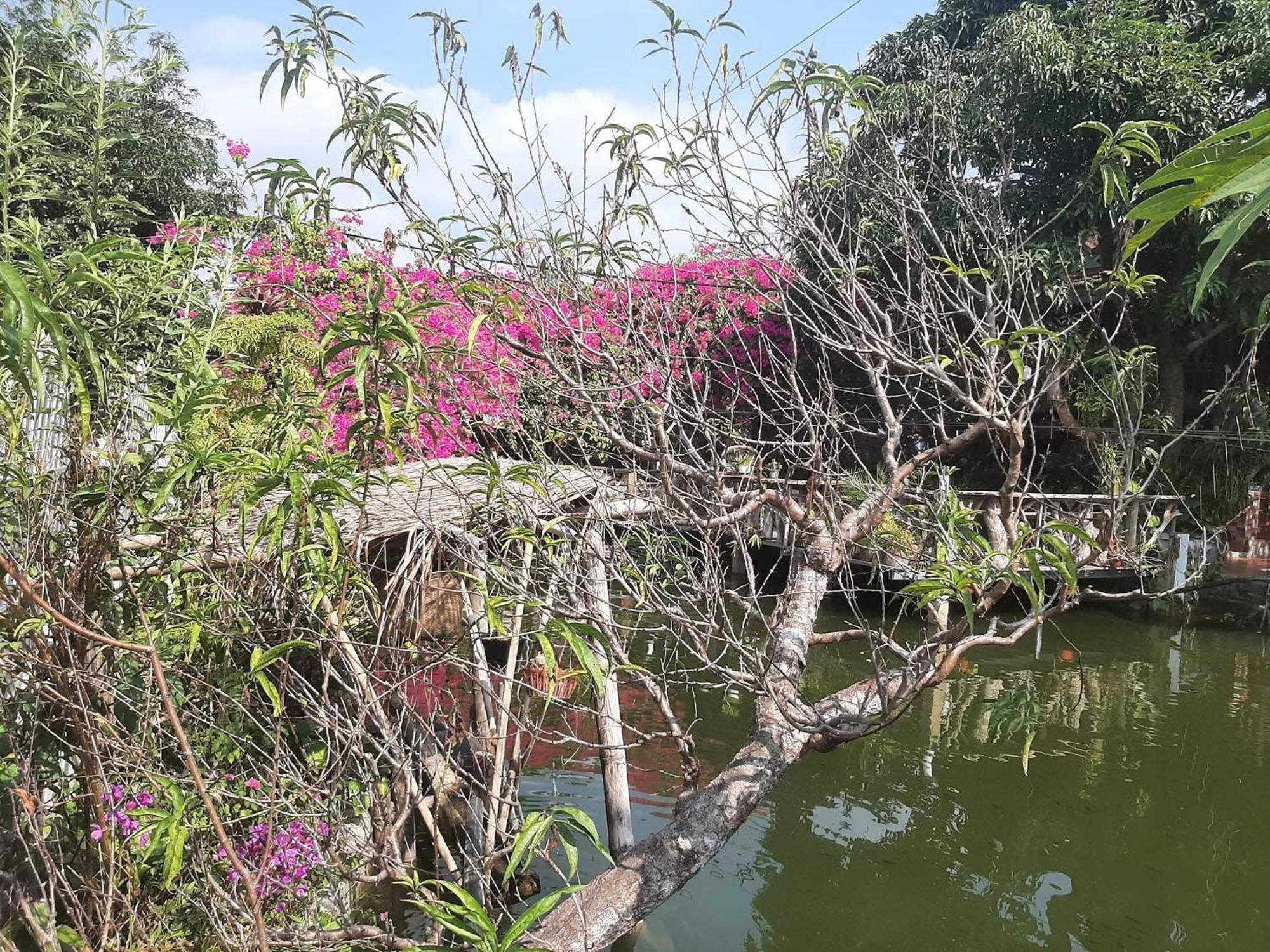 Minh Ngoc Homestay Dien Bien Phu Ban Him Lom ภายนอก รูปภาพ