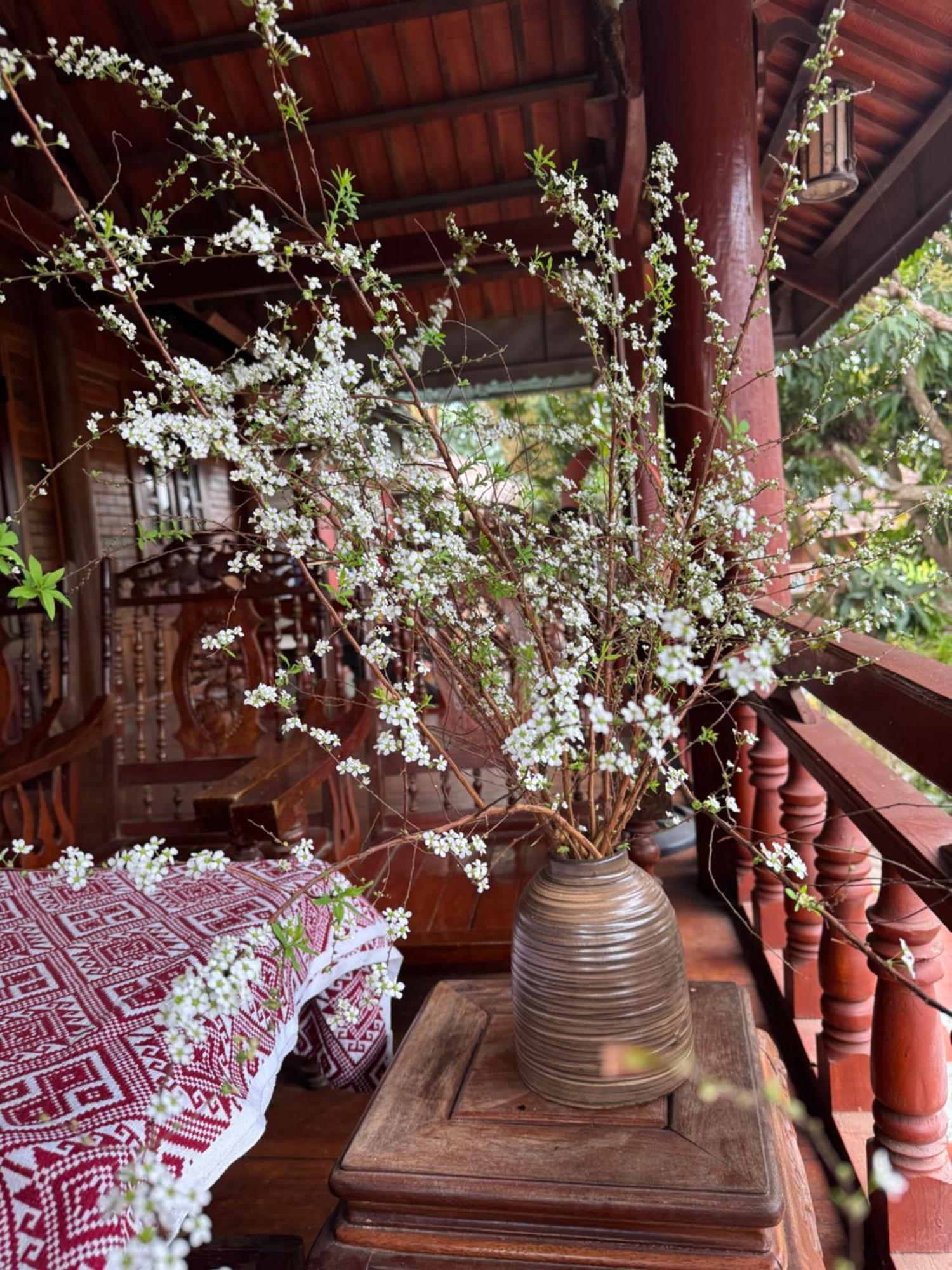 Minh Ngoc Homestay Dien Bien Phu Ban Him Lom ภายนอก รูปภาพ